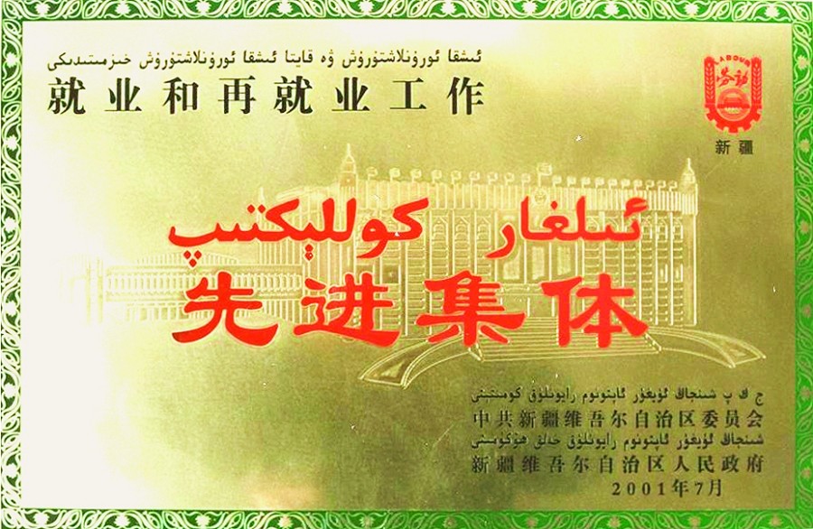 自治区就业和再就业工作先进集体.jpg