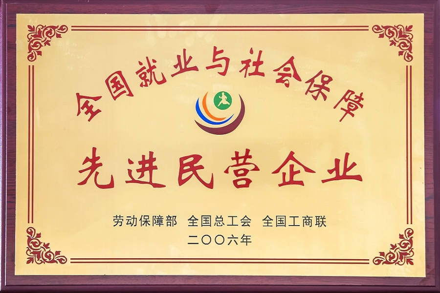 2006年全国就业与社会保障先进民营企业