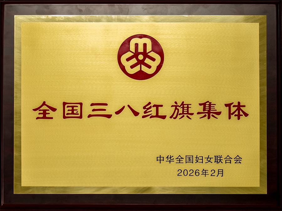 2026年全国三八红旗集体 -小 2026年全国三八红旗集体 -小